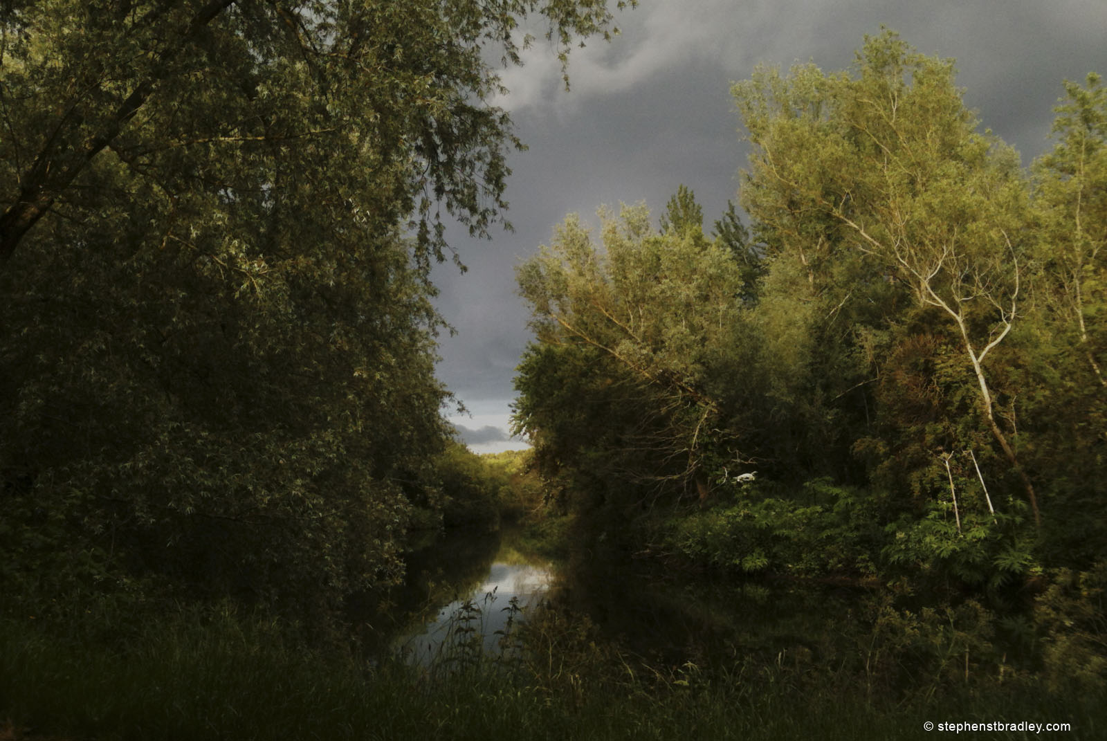 Lagan Tow Path, River Lagan, Belfast, Northern Ireland landscape photograph.