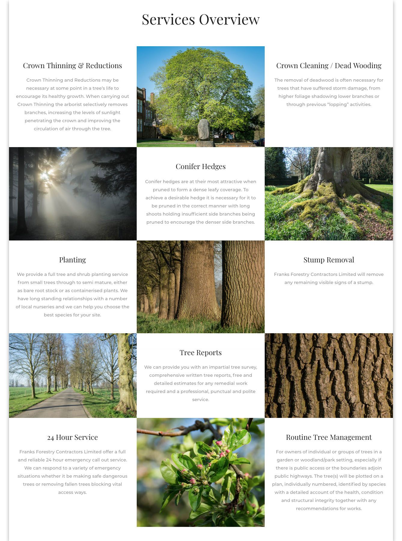 Web designers Belfast portfolio web site - franks forestry home page image 2